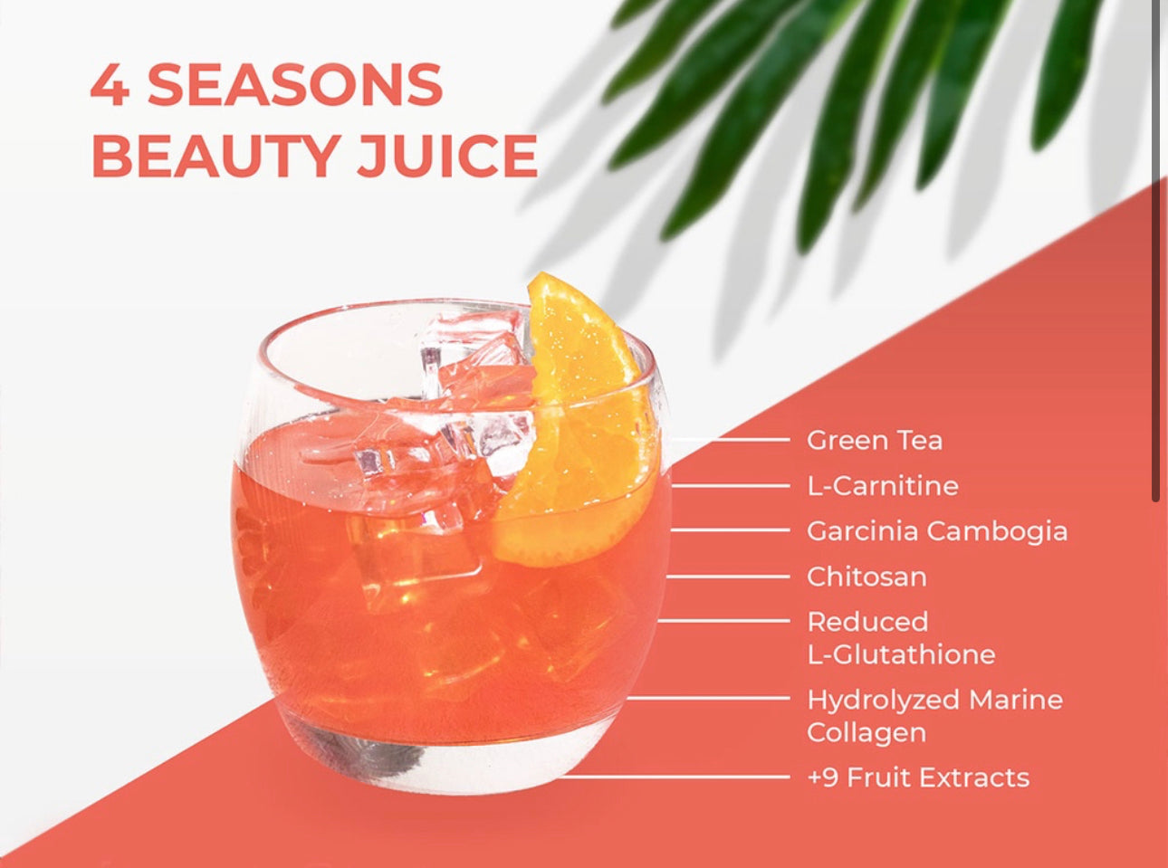 Luxe Slim Four Season Slimming Beauty Juice